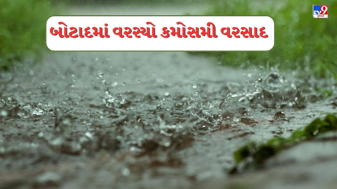 Botad : રાણપુર શહેર અને તાલુકામાં ધોધમાર વરસાદ ખાબક્યો, રસ્તા અને ખેતરોમાં ભરાયા પાણી, જુઓ Video