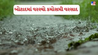 રાણપુર શહેર અને તાલુકામાં ધોધમાર વરસાદ ખાબક્યો રાણપુર શહેર અને તાલુકામાં ધોધમાર વરસાદ ખાબક્યો
