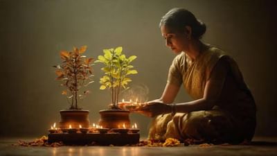 તુલસીનો છોડ દરેક હિન્દુ ઘરમાં જોવા મળે છે. કોઈપણ ઘરમાં તુલસી હોવું માત્ર ધાર્મિક દ્રષ્ટિકોણથી જ નહીં, પરંતુ વાસ્તુ અને સ્વાસ્થ્યના દ્રષ્ટિકોણથી પણ અત્યંત શુભ માનવામાં આવે છે.