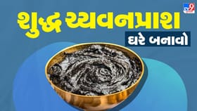 હજારો રોગોનો રામબાણ ઈલાજ એવા ચ્યવનપ્રાશને ઘરે બનાવો, આ રહી સરળ રેસિપી