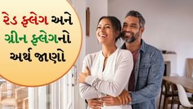શું હોય છે રેડ ફ્લેગ અને ગ્રીન ફ્લેગનો અર્થ?
