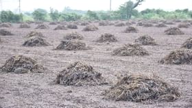 10000 કરોડના પેકેજનો 251 તાલુકાના 16,500થી વધુ ગામના ખેડૂતોને મળશે લાભ