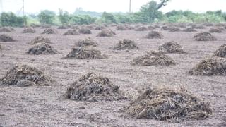 10,000 કરોડનું રાહત પેકેજ, બે હેકટરની મર્યાદામાં હેક્ટર દીઠ રૂ. 22,000 સહાય અપાશે, 251 તાલુકાના 16,500થી વધુ ગામોના ખેડૂતોને મળશે લાભ