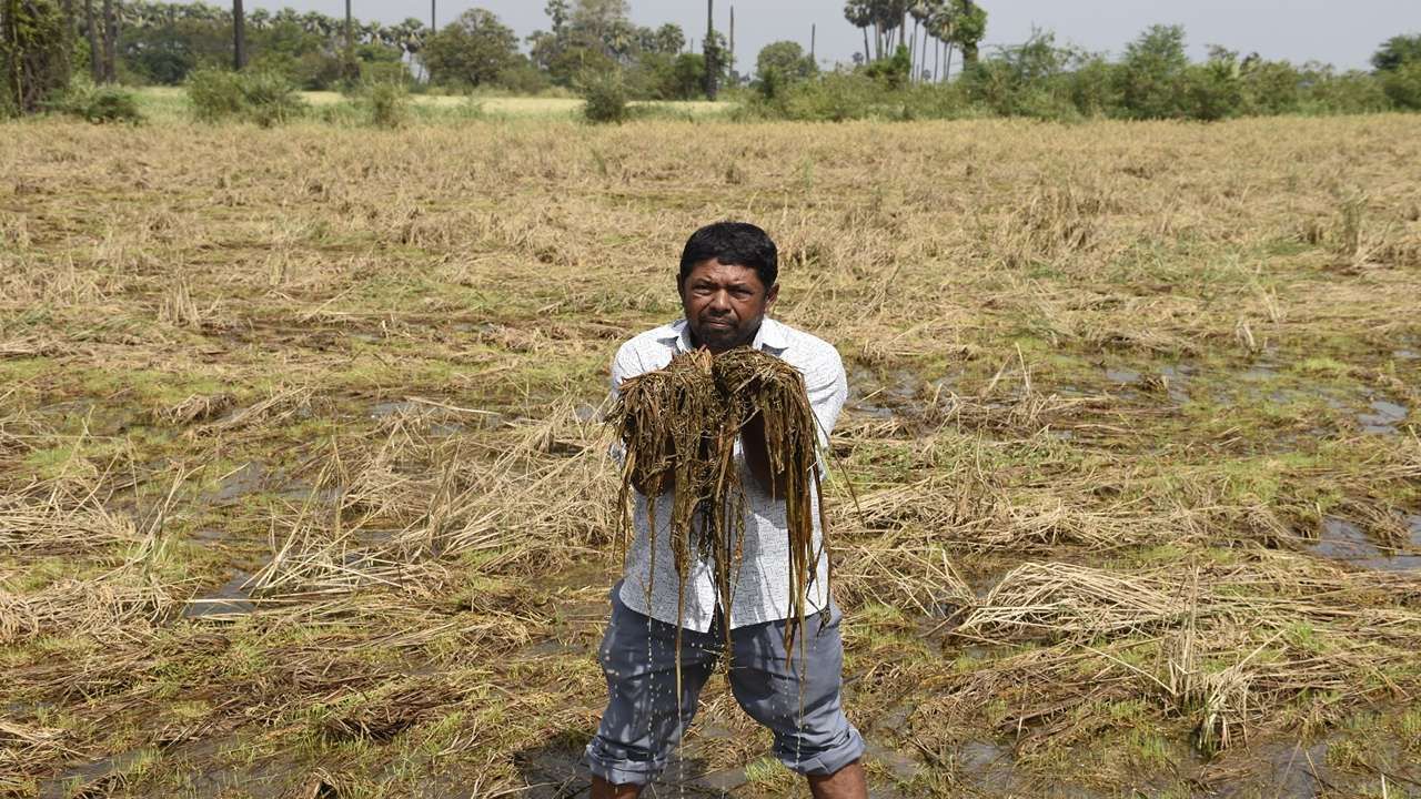 Relief package for farmers 2_9_11zon