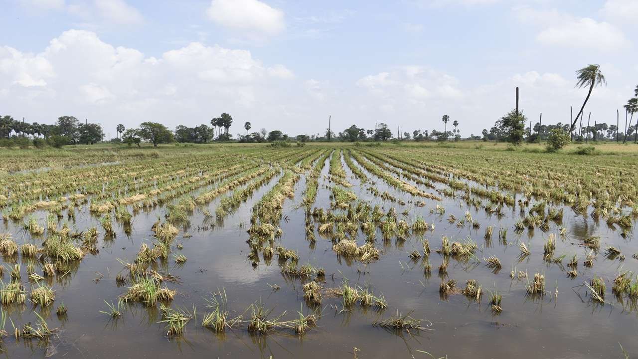 Relief package for farmers 3_8_11zon