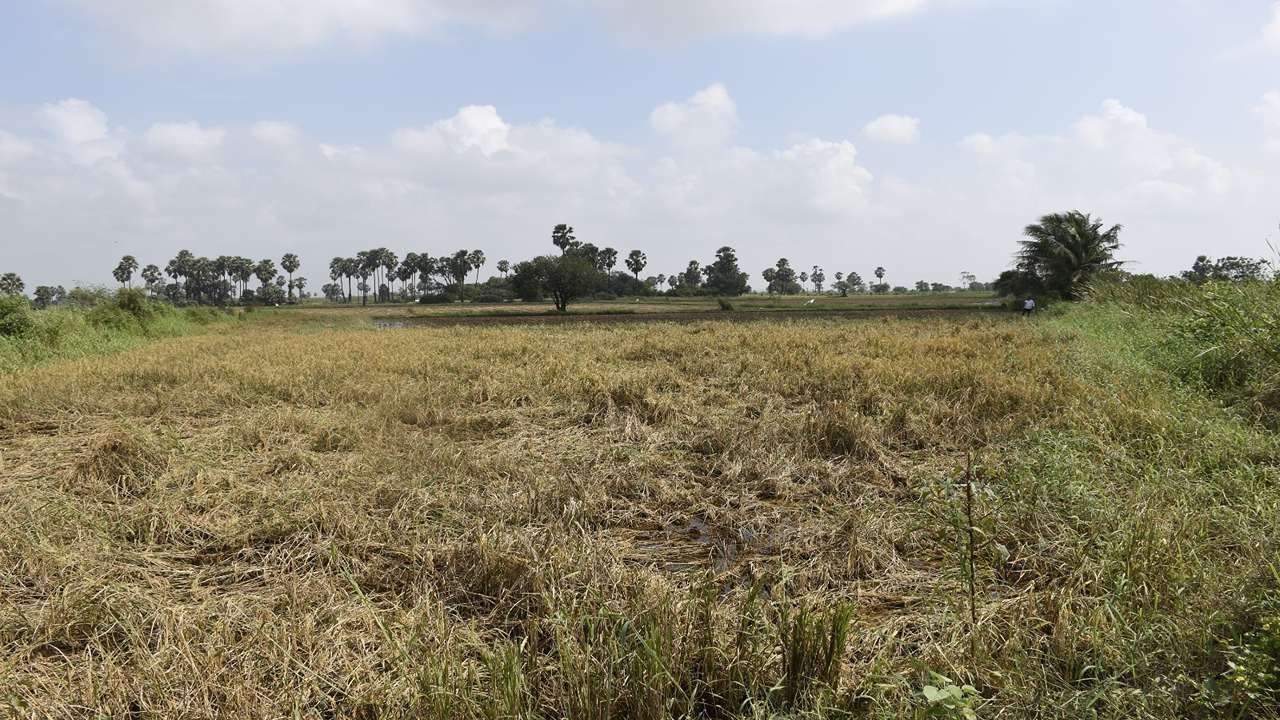 Relief package for farmers 4_7_11zon