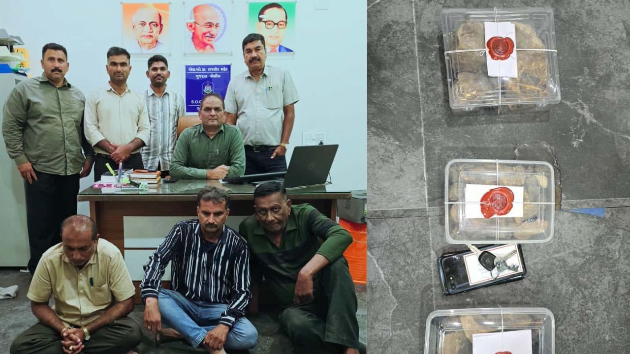 Rajkot : વ્હેલ માછલીની ઉલટી સાથે 3 આરોપી ઝડપાયા, આંતરરાષ્ટ્રીય બજારમાં ઉલટીની કિંમત 2 કરોડથી વધુ, જાણો માહિતી