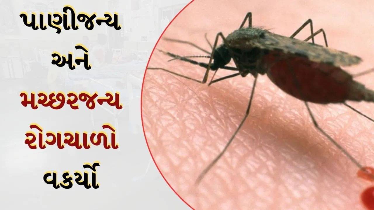 અમદાવાદમાં રોગચાળાએ માથું  ઉચક્યું ! UHC અને CHCમાં 1500થી વધારે કેસ નોંધાયા, જુઓ Video