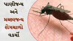 અંબાજી અને દાંતા પંથકમાં વકર્યો રોગચાળો, ઝેરી મલેરિયાના કેસમાં સતત ઉછાળો આવતા તંત્રમાં ખડભડાટ, જુઓ Video