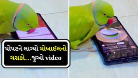 મુઝે તો તેરી લત લગ ગઈ! મોબાઈલ માટે પોપટની દિવાનગી, જુઓ Video