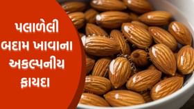 પલાળેલી બદામ ખાવાના અનેક ચોંકાવનારા ફાયદા