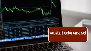 Stocks Forecast 2025 : આ શેરમાં પણ આવી શકે છે માવઠું, એક્સપર્ટે કરી આગાહી