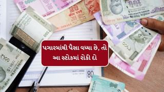 Stocks Forecast 2025 : જો પગારમાંથી વધ્યા છે થોડા પૈસા, તો આ સ્ટોકમાં રોકી દો, પોર્ટફોલિયો વધી જશે