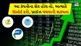 Stocks Forecast 2025: આ કંપનીના શેર વધવાની સંભાવના
