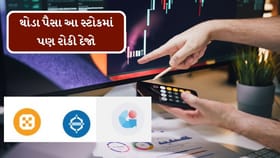 પગારમાંથી થોડા પૈસા આ સ્ટોકમાં રોકી દો