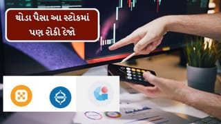 Stocks Forecast 2025 : જો પગાર આવે તો થોડા પૈસા આ સ્ટોકમાં પણ રોકી દેજો, જાણો એક્સપર્ટ શું કહે છે