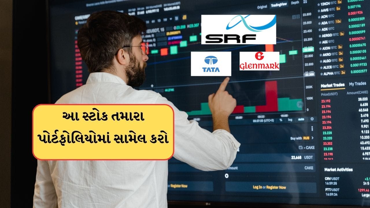 કેટલાક એક્સપર્ટે આ સ્ટોક વિશે એનાલિસિસ કર્યું છે. તેમનું કહેવું છે કે, આ સ્ટોકમાં વધારો ઘટાડો થઈ શકે છે. ઘટાડાથી ખરીદીની તકો મળશે,