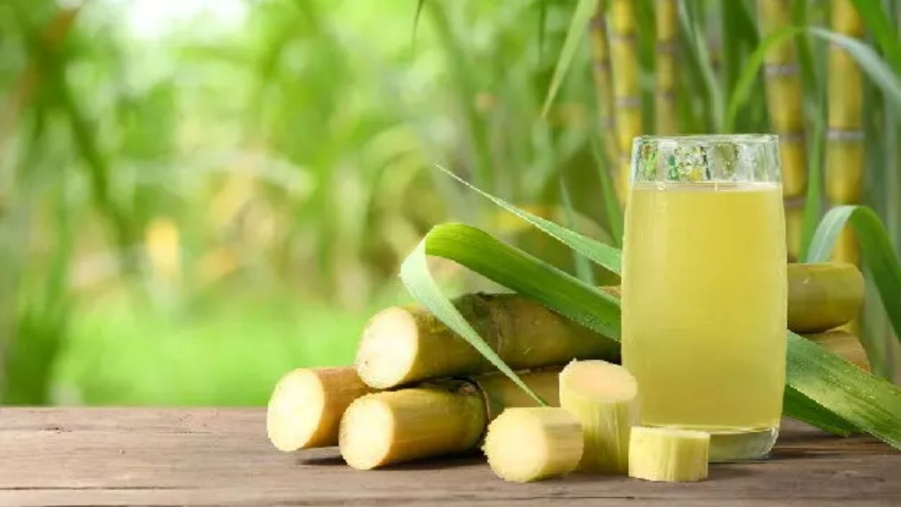 શેરડી ચાવવી અને શેરડીનો રસ પીવો બંને સ્વાસ્થ્ય માટે ફાયદાકારક છે. જો તમને ધીમે ધીમે ઉર્જા વધારવાની, પેટની સમસ્યાઓ દૂર કરવાની અને તમારા દાંત અને પેઢાંની સંભાળ રાખવાની જરૂર હોય, તો શેરડી ચાવવી વધુ સારી છે. જો કે, જો તમને તાત્કાલિક ઉર્જાની જરૂર હોય, ડિટોક્સની જરૂર હોય અથવા ઉનાળામાં થોડી ઠંડકની જરૂર હોય, તો શેરડીનો રસ પીવો વધુ અસરકારક છે.