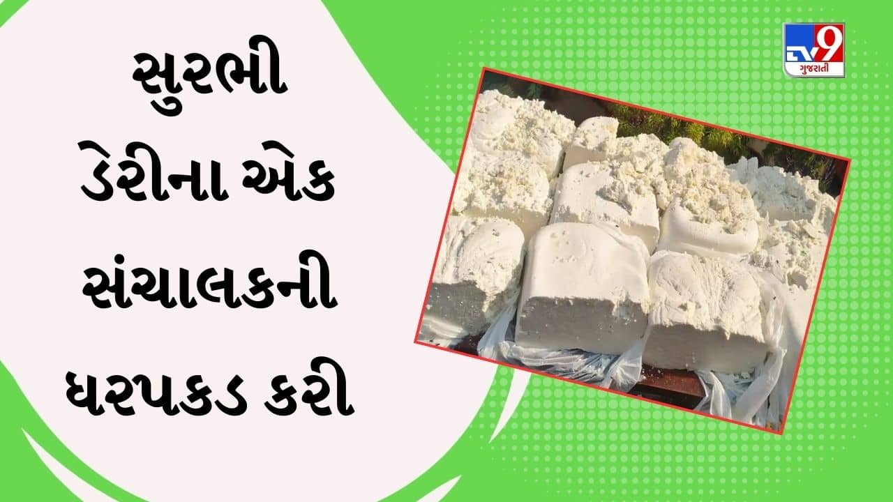 Surat : સુરભી ડેરીનું પનીર નકલી હોવાનો રિપોર્ટમાં ખુલાસો, એક સંચાલકની ધરપકડ, જુઓ Video