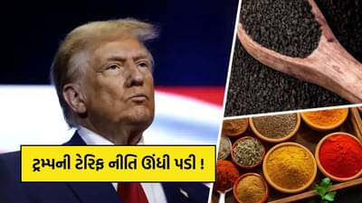 ટ્રમ્પની ટેરિફ યોજના નિષ્ફળ: 200 કૃષિ ઉત્પાદનો પર ડ્યુટી ઘટાડાઈ, ભારતીય મસાલા વેપારીઓને બમ્પર ફાયદો!