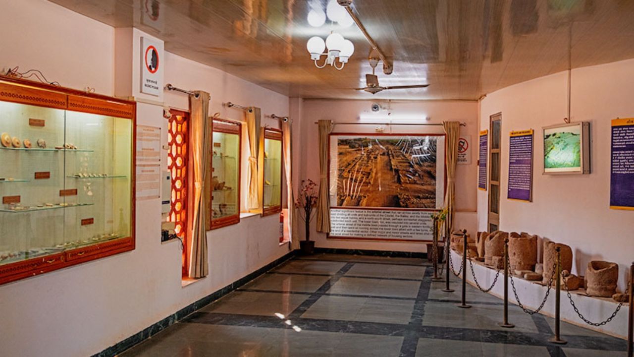 તમે હડપ્પા વિશે પુસ્તકોમાં ઘણું સાંભળ્યું હશે, અને જો તમે તેને તમારી આંખે જોવા માંગતા હો, તો હડપ્પા સંસ્કૃતિના શહેર ધોળાવીરાની મુલાકાત લો. આ સ્થળને યુનેસ્કો વર્લ્ડ હેરિટેજ સાઇટ તરીકે નિયુક્ત કરવામાં આવ્યું છે. અહિ જવા માટે તમે ભુજ એરપોર્ટ પર ઉતરી ધોળાવીરા સડક માર્ગે ભચાઉથી વાહન દ્વારા જઇ શકાય છે.ટ્રેન દ્વારા અમદાવાદ-ભુજ રેલ્વે માર્ગ પર સામખીયાળી ઉતરી વાહન દ્વારા પહોંચી શકાય છે. તેમજ બાય રોડ અમદાવાદ, પાલનપુર, રાપર અથવા ભચાઉ પહોંચી ધોળાવીરા જઇ શકાય છે.