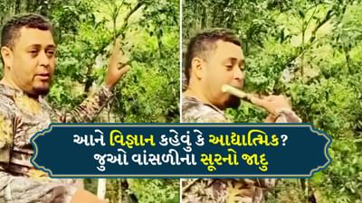 આને કહેવાય સંગીતનો જાદુ! વાંસળીના સૂર રેલાતા જ વૃક્ષોનાં પાંદડાં થયા શાંત, જુઓ Video