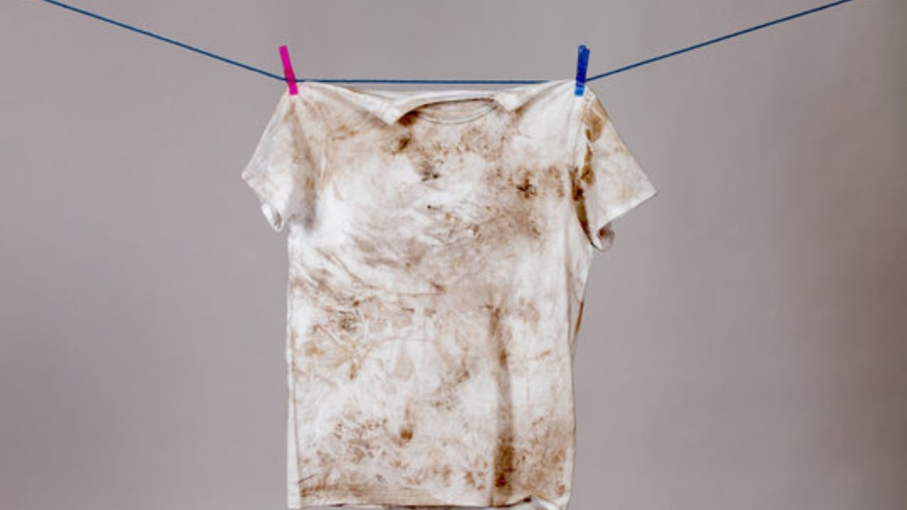 अगर आप कभी-कभार अपने ऑफिस बैग में पुराने या गंदे कपड़े रखते हैं, तो यह आदत आपके लिए नुकसानदेह हो सकती है। वास्तु शास्त्र के अनुसार, इससे नकारात्मक ऊर्जा उत्पन्न होती है, जिससे थकान और चिड़चिड़ापन होता है। इससे आपका ध्यान कमज़ोर होता है और आपकी एकाग्रता भंग होती है।