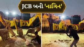 JCB નાગીન ડાન્સ વાયરલ: બીનની ધૂન પર મશીનોનો શાનદાર ડાન્સ