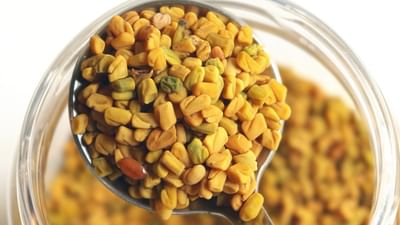 પ્રાચીન કાળથી, મેથીનો ઉપયોગ મસાલા અને ઔષધીય વનસ્પતિ બંને તરીકે કરવામાં આવે છે. આજે, અમે તમને સતત 15 દિવસ સુધી મેથીના દાણા અને તેના પાણીનું સેવન કરવાથી શું ફાયદા થાય તે જાણીશું.