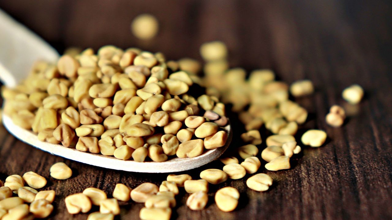 मेथी के बीजों में प्राकृतिक यौगिक होते हैं जो शरीर में एस्ट्रोजन हार्मोन की तरह काम करते हैं। ये हार्मोनल संतुलन बनाए रखने में मदद कर सकते हैं।