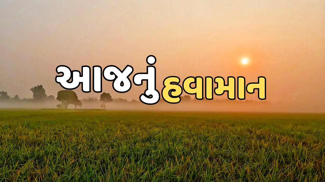 આજનું હવામાન : ગુજરાતીયો કડકડતી ઠંડીમાં ઠુંઠવાશે ! જાણો તમારા વિસ્તારમાં કેવું રહેશે વાતાવરણ, જુઓ Video આજનું હવામાન : ગુજરાતીયો કડકડતી ઠંડીમાં ઠુંઠવાશે ! જાણો તમારા વિસ્તારમાં કેવું રહેશે વાતાવરણ, જુઓ Video