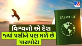 આ દેશમાં પક્ષીને મળે છે પાસપોર્ટ અને ટિકિટ કરે છે હવાઈ મુસાફરી