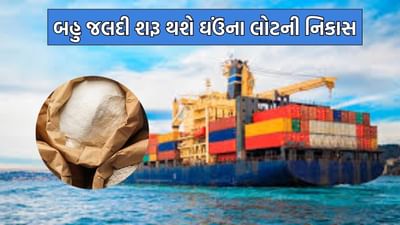 ઘઉંના લોટની નિકાસ પરથી બહુ જલદી હટાવી લેવાશે પ્રતિબંધ, ભારતના નિર્ણયની દુનિયા પર પડશે મોટી અસર