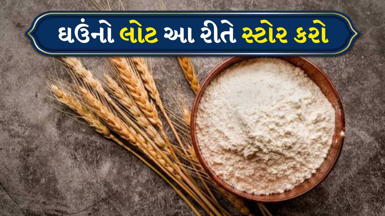 આજકાલ બધું જ પેક્ડ ઉપલબ્ધ છે, પછી ભલે તે મસાલા હોય, કઠોળ હોય કે લોટ હોય. પરંતુ જો તમે ધ્યાન આપો તો, ઘણા ઘરો હજુ પણ પોતાના ઘઉં ખરીદવાનું અને દળવાનું પસંદ કરે છે. આનું કારણ સ્પષ્ટ છે: ઘરે બનાવેલો લોટ તાજો અને ભેળસેળમુક્ત હોય છે. જો કે, જો કાળજી લેવામાં આવે તો, ઘઉં અને લોટ સરળતાથી જંતુઓથી પ્રભાવિત થઈ શકે છે અથવા તેમાં ભેજ થઈ શકે છે. તેથી આજે અમે તમારા માટે કેટલાક જૂના પરંતુ ખૂબ જ અસરકારક ઘરેલું ઉપાયો લાવ્યા છીએ. જો તમે આ ટિપ્સનું પાલન કરો છો તો તમારો લોટ આખું વર્ષ તાજો અને જંતુમુક્ત રહેશે.