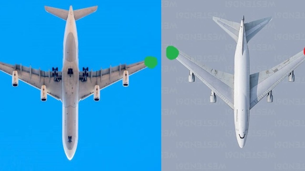 વિમાન સામાન્ય રીતે સફેદ સ્ટ્રોબ લાઇટનો ઉપયોગ કરે છે. આ લાઇટ્સ સમયાંતરે ફ્લેશ થાય છે, જેના કારણે તેમને અંધારાવાળા આકાશમાં સરળતાથી જોવા મળે છે. વિમાન ભલે અમેરિકન, ભારતીય કે ઓસ્ટ્રેલિયન હોય, બધા વિમાનો માટે લાઇટિંગ નિયમો સમાન છે. આ લાઇટ્સ અથડામણ અટકાવે છે, નેવિગેશનમાં મદદ કરે છે અને ગ્રાઉન્ડ સ્ટાફને ચેતવણી આપે છે.