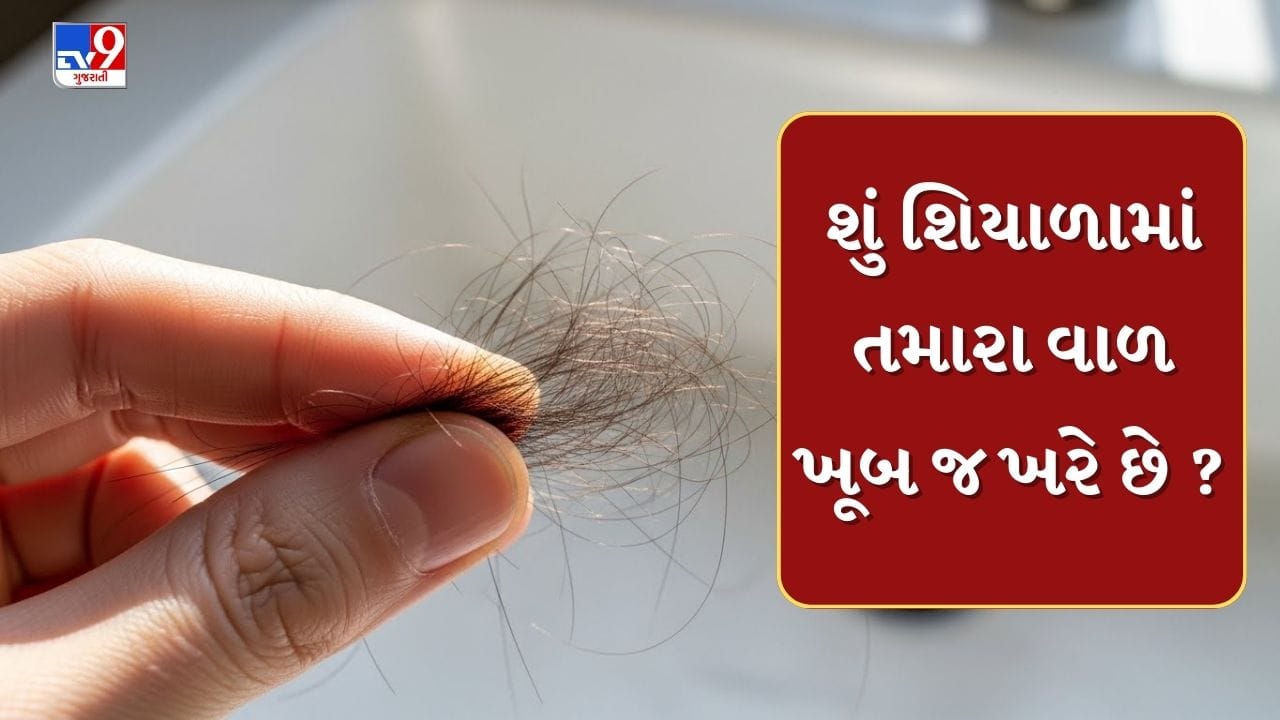 Winter hair care tips : શું શિયાળામાં તમારા વાળ ખૂબ જ ખરે છે ? જાણો કારણો
