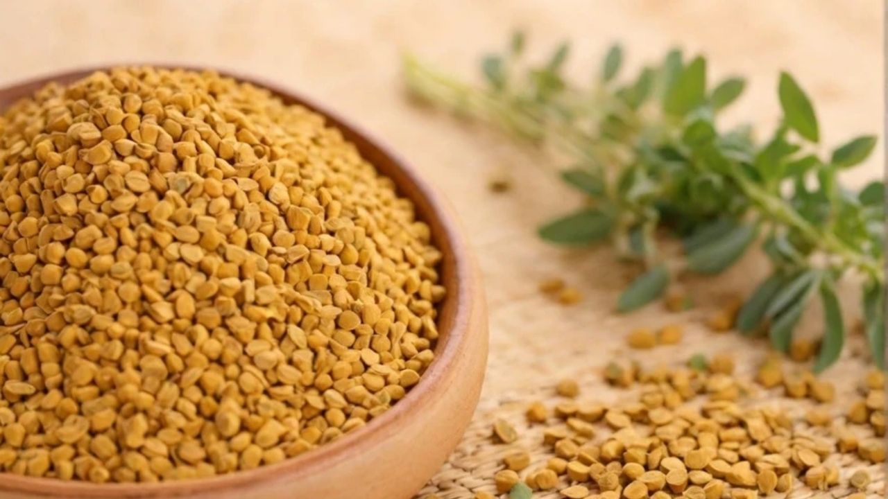 મેથીના દાણામાં રહેલું ફાઇબર કુદરતી રીતે કોલેસ્ટ્રોલ ઘટાડે છે. શિયાળામાં રાતભર પલાળીને ખાવાથી ખૂબ જ ફાયદાકારક છે.