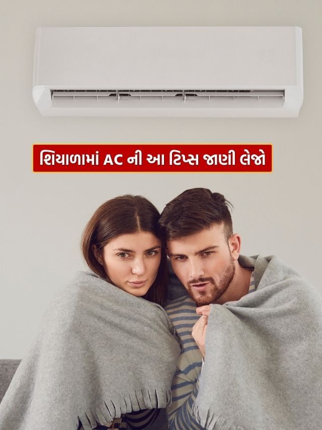 શિયાળામાં AC વાપરવાનું બંધ કરી દીધું છે? આ ભૂલ ન કરતાં