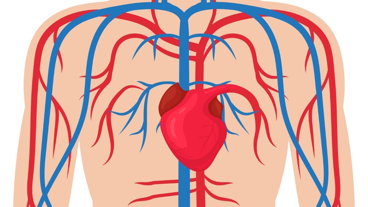 લોહી જાડું થવાથી માથામાં ભારેપણું, દુખાવો અથવા વારંવાર ચક્કર આવી શકે છે.