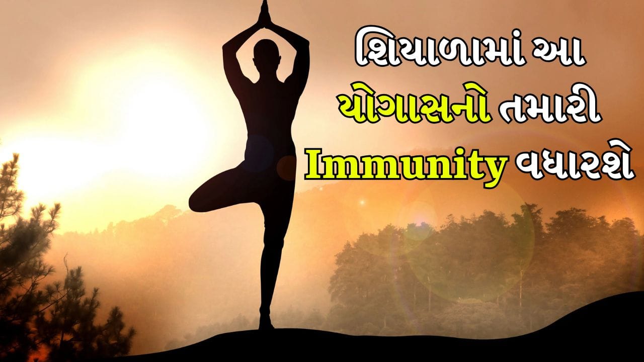 Winter Yoga: શિયાળામાં હેલ્ધી રાખશે આ આસનો, પ્રદૂષણને કારણે થતી શ્વસન સમસ્યાઓથી પણ બચાવશે - Gujarati News | Boost Winter Wellness, Yoga Poses to Fight Cold Pollution Boost Immunity - Boost ...