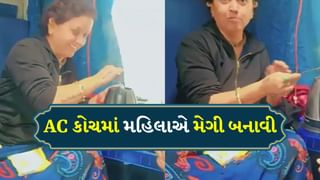 આવું કરતાં પહેલા સાવધાન, ચાલતી ટ્રેનમાં થયો રસોઈ શો! AC કોચમાં મહિલાએ બનાવી મેગી, જાણો લોકોએ શું કહ્યું