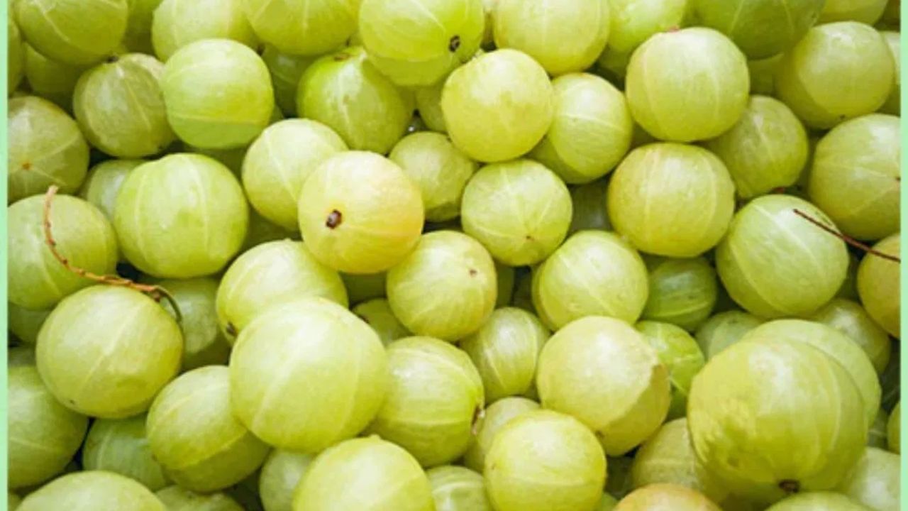 બદલાતી ઋતુઓ દરમિયાન, તમે સવારે ખાલી પેટે અથવા કસરત કર્યા પછી પીવો જોઈએ. શરૂઆતના દિવસોમાં ફક્ત 20-30 મિલી આમળાનો રસ પીવો ફાયદાકારક છે. જો તમને સ્વાદ પસંદ ના હોય, તો તમે તેને સંતુલિત કરવા માટે પાણી ઉમેરી શકો છો. જો સ્વાદ ખૂબ ખાટો હોય, તો તમે થોડું મધ અથવા ચપટી મીઠું ઉમેરી શકો છો. પીવા માટે, એક ગ્લાસમાં નવશેકું પાણી મિક્સ કરો અને તેમાં આમળાનો રસ ઉમેરો.