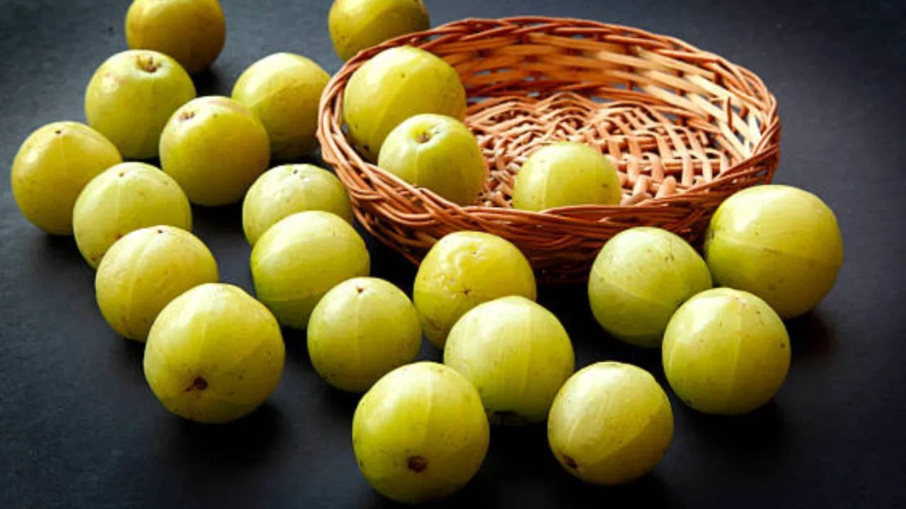 આમળાનો રસ શિયાળામાં પણ પીવો જોઈએ. કારણ કે તેમાં બળતરા વિરોધી અને એન્ટીબેક્ટેરિયલ ગુણધર્મો છે. આ મોસમી બીમારીઓને રોકવામાં મદદ કરે છે અને શરીરને ચેપથી બચાવે છે.