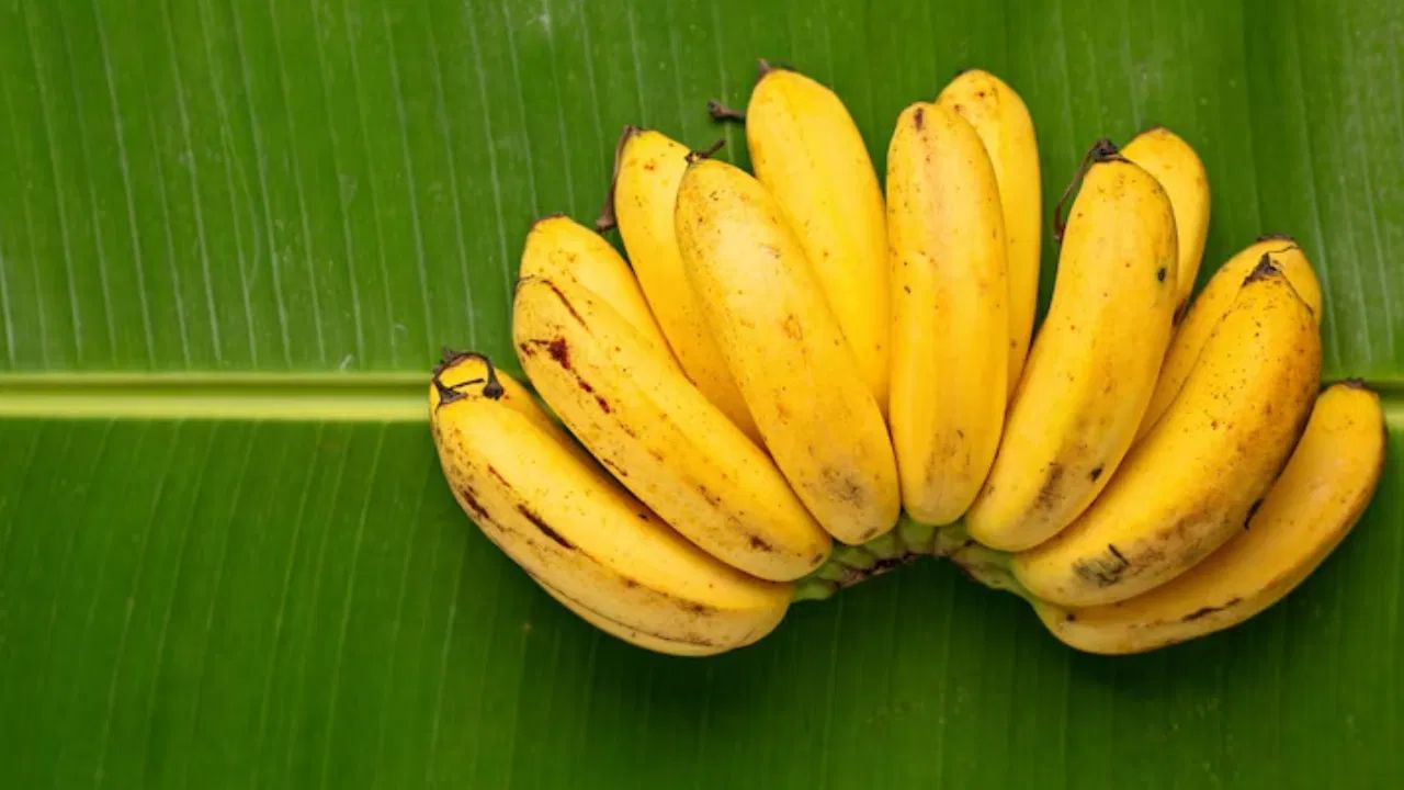 વજન ઘટાડવા માટે કયા સારા છે? - કાચા કેળા વજન ઘટાડવા માંગતા લોકો માટે સારો વિકલ્પ છે. તેમાં કેલરી ઓછી હોય છે અને ફાઇબર વધુ હોય છે. ફાઇબર લાંબા સમય સુધી પેટ ભરેલું રાખે છે, વારંવાર ભૂખ લાગતી અટકાવે છે અને વજન નિયંત્રણ જાળવી રાખે છે. વારંવાર ભૂખ લાગવાની આ રીત વધુ પડતું ખાવાથી બચાવે છે.