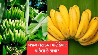 પાકેલા કે કાચા કેળા? વજન ઘટાડવા માટે કયા વધુ ફાયદાકારક છે, જાણો