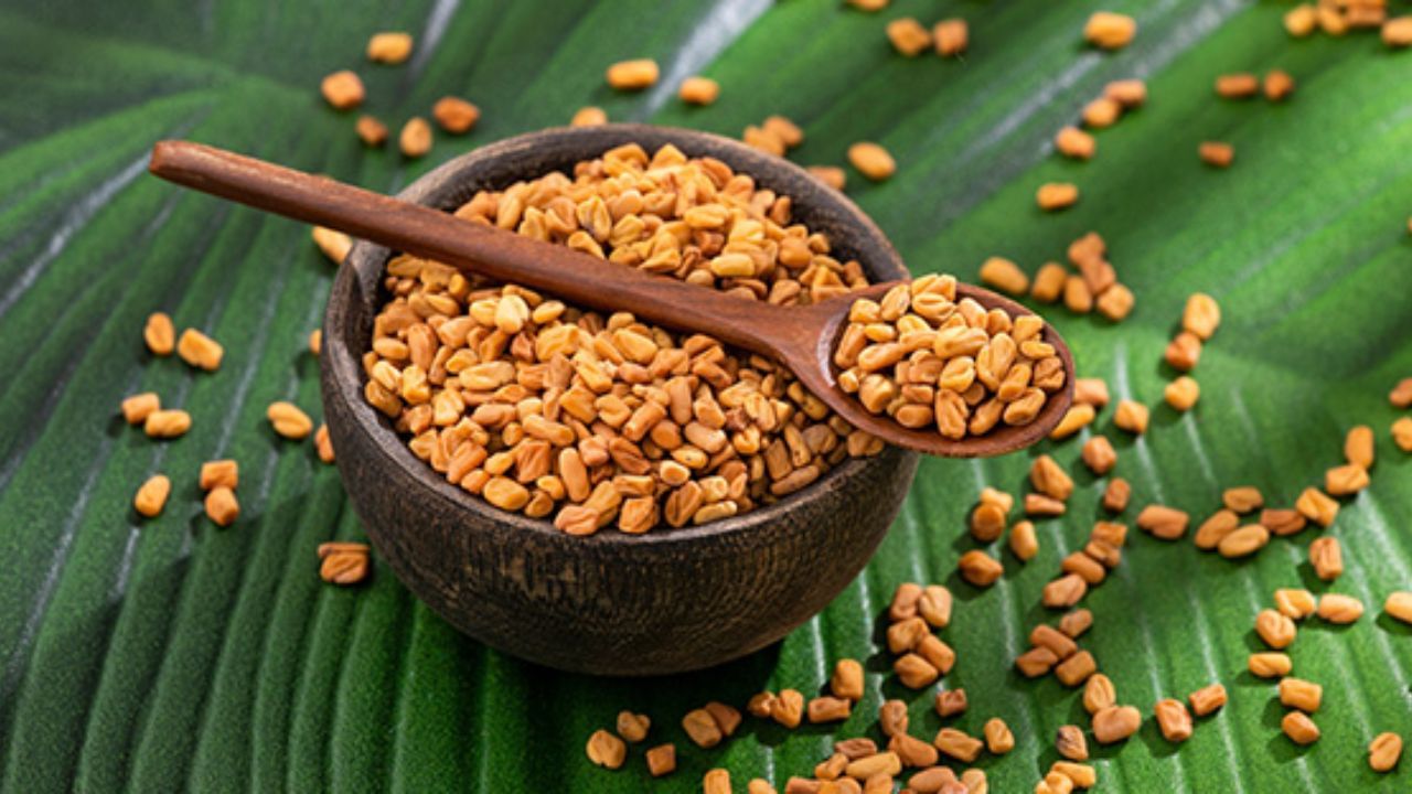 જો ડાયાબિટીસનો તાત્કાલિક ઉકેલ લાવવામાં ન આવે તો તે જીવલેણ બની શકે છે. આપણે ઘણીવાર વાંચીએ છીએ અને સાંભળીએ છીએ કે મેથીના દાણા ડાયાબિટીસ માટે ખૂબ જ ફાયદાકારક છે. આ આર્ટિકલમાં આપણે આ દાવા પાછળનું સત્ય શોધીશું.
