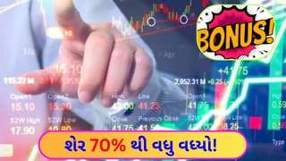 Stock Market: ‘1 શેર’ ઉપર ‘4 બોનસ શેર’! નોન-બેંકિંગ ફાઇનાન્શિયલ કંપનીમાં રોકાણકારોએ ઇન્વેસ્ટ કરવું જોઈએ કે નહીં?