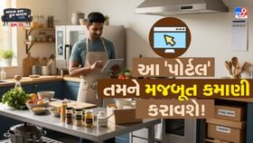તમે પણ આ એક 'પોર્ટલ'નો ઉપયોગ કરીને તગડી કમાણી કરશો