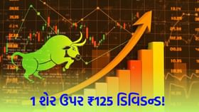 14,000% જેટલું રિટર્ન આપ્યું! કંપની 1 સ્ટોક પર ₹125 ડિવિડન્ડ આપશે