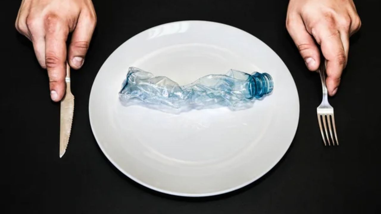 આ ખોરાકમાં ઘણા રસાયણો ઉમેરવામાં આવે છે, જે કેન્સરનું જોખમ વધારે છે. હવે ઘણા ખોરાક ખાસ કરીને પ્લાસ્ટિકમાં પેક કરવામાં આવે છે. તો, શું પ્લાસ્ટિકમાં ખોરાક ખાવાથી કેન્સર થઈ શકે છે?
